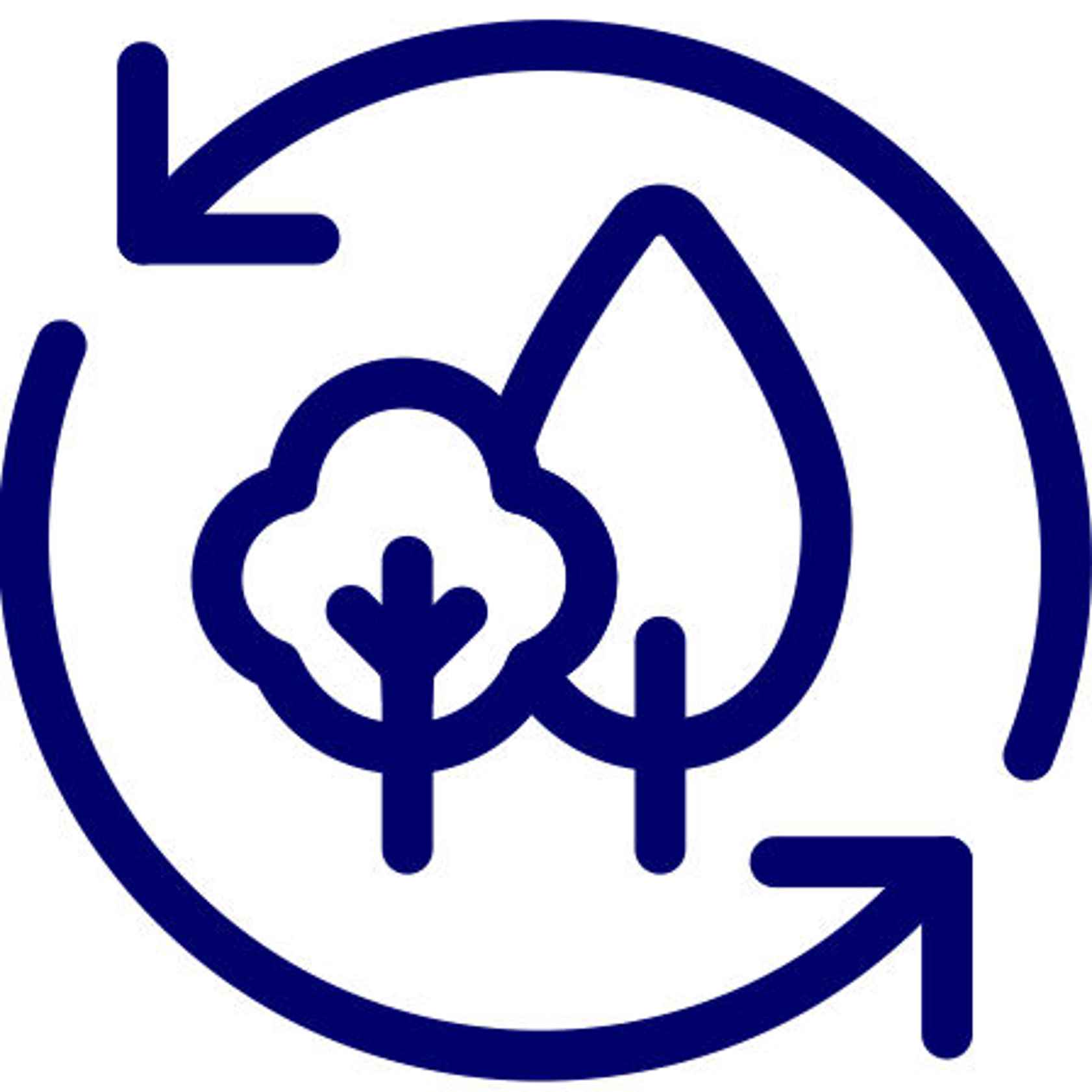 Global Capital Group Ltd. current account